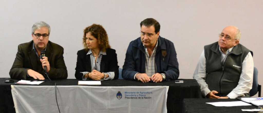 Senasa sanciona a Mendoza: suspenden el status fitosanitario