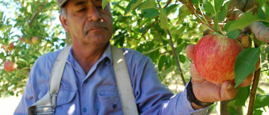 Mendoza, ejemplo en la lucha contra la mosca de la fruta