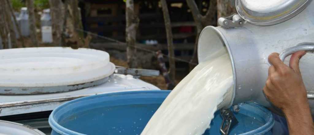 El Gobierno busca cobrar el 10,5% de IVA de la leche
