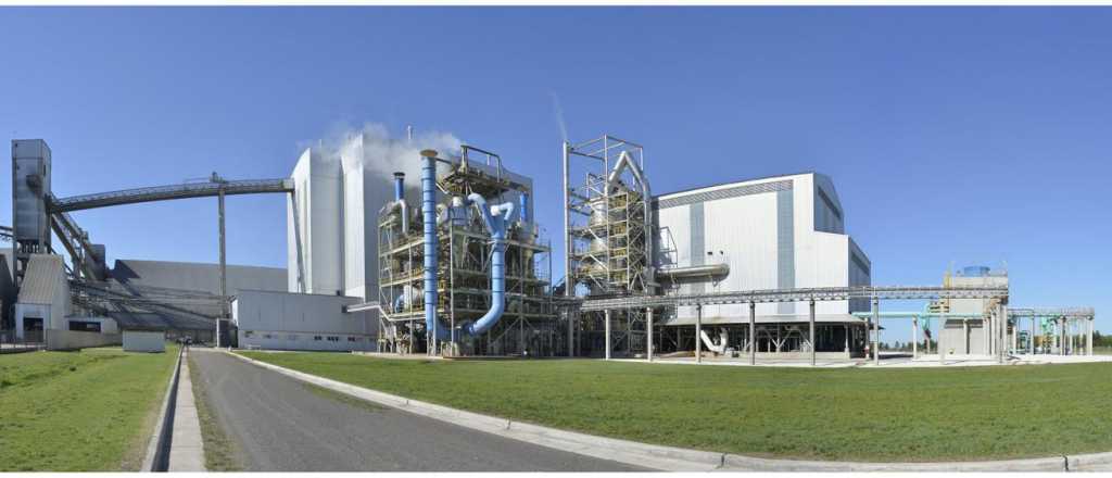 La planta de AGD en Mendoza celebra la popularidad del almendro