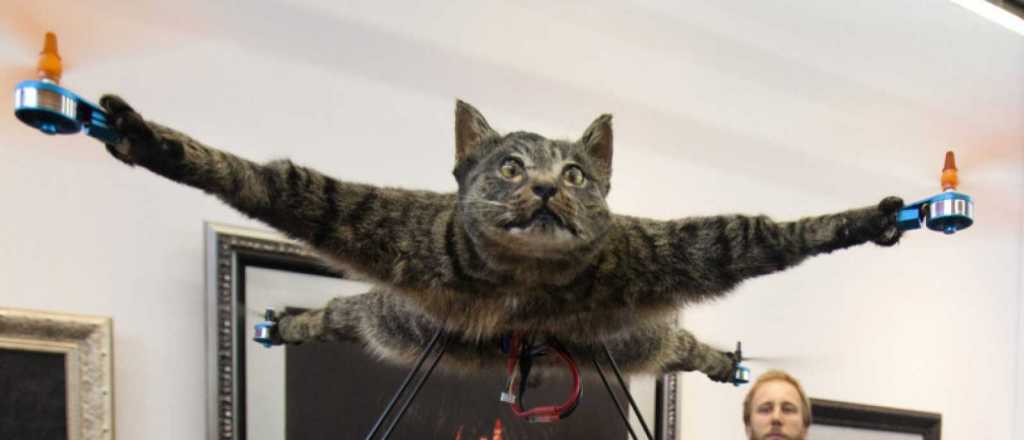 &iquest;Qu&eacute; sale de la cruza entre un drone y un animal embalsamado?