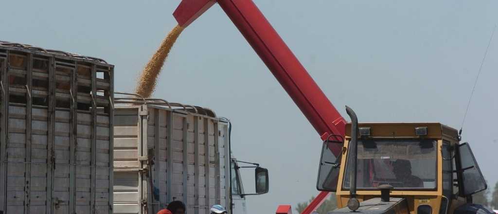 El Gobierno nacional cerró el registro para anotar exportaciones de granos