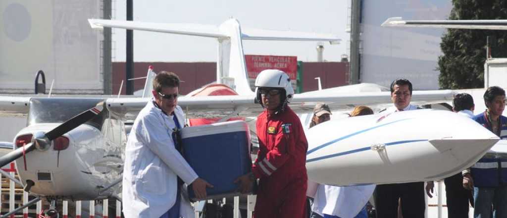 Mendoza, entre las provincias que más órganos donó