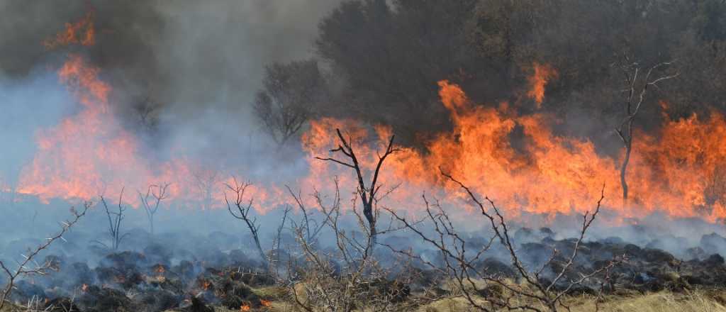 Incendios en Mendoza: temen a otra ola de calor