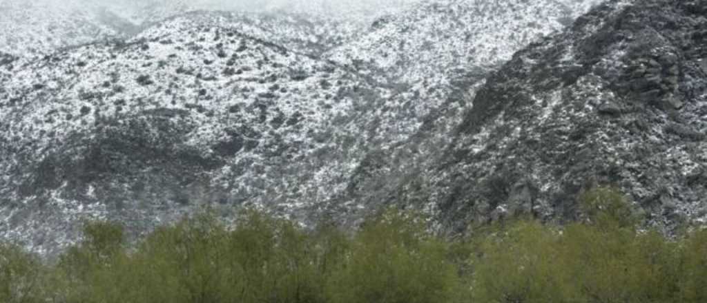 Críticas de productores a la venta de tierras en Valle de Uco