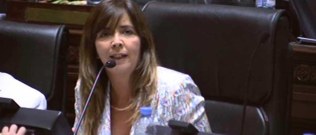 Una diputada del FPV se burl&oacute; de los inmigrantes venezolanos y la repudiaron 