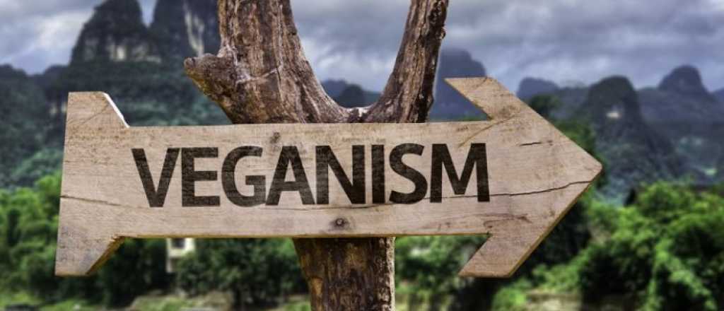 Veganos extremos: torturan a una chica para mostrar cómo sufre un ternero