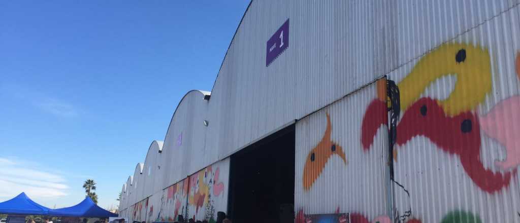 Preocupaci&oacute;n de la FEM por la llegada del gran persa de Mendoza