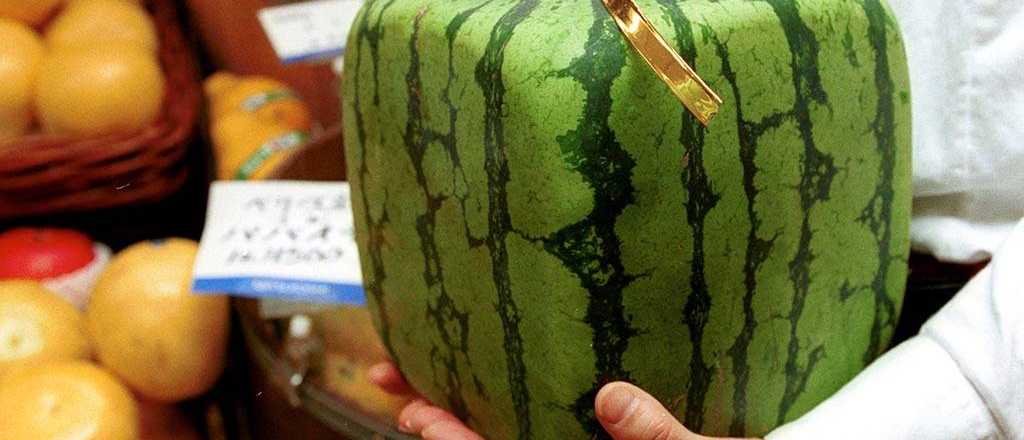 Incre&iacute;ble: &iquest;c&oacute;mo hacen en Jap&oacute;n para producir sand&iacute;as cuadradas?