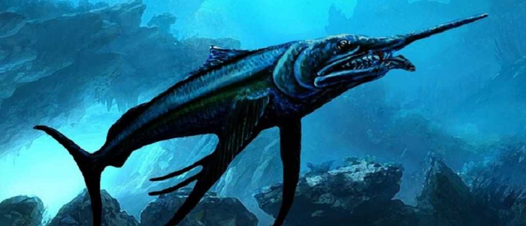 Encuentran restos de un gran pez de la época de los dinosaurios 
