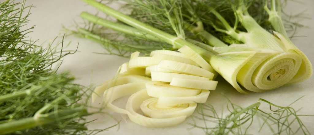 Seis recetas con hinojo: la planta medicinal que produce Mendoza