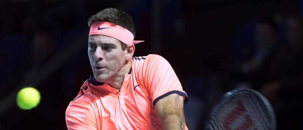 In&eacute;dita calentura de Del Potro en la cancha: "Que fantasma sos"